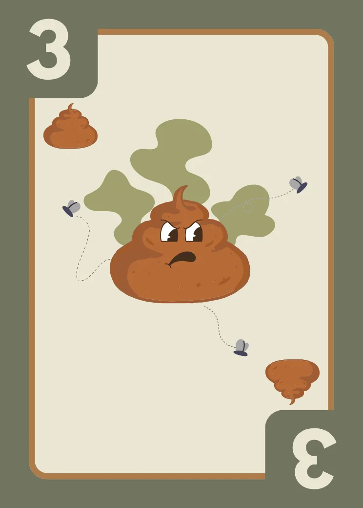 Carta 3
